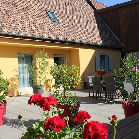 Gîte Le Cep d'Or Alsace Saint-Hippolyte (Haut-Rhin) Exterior foto