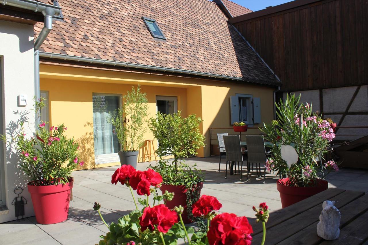 Gîte Le Cep d'Or Alsace Saint-Hippolyte (Haut-Rhin) Exterior foto